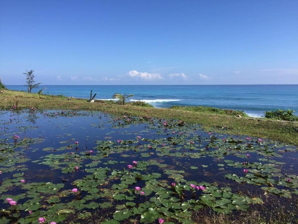 Horizon 180 Sea View Homestay Yanliau Luaran gambar